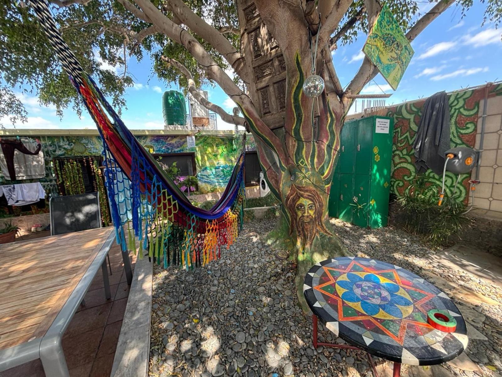 Hostel Los Duendes Del Sur Costa Del Silencio Exterior photo